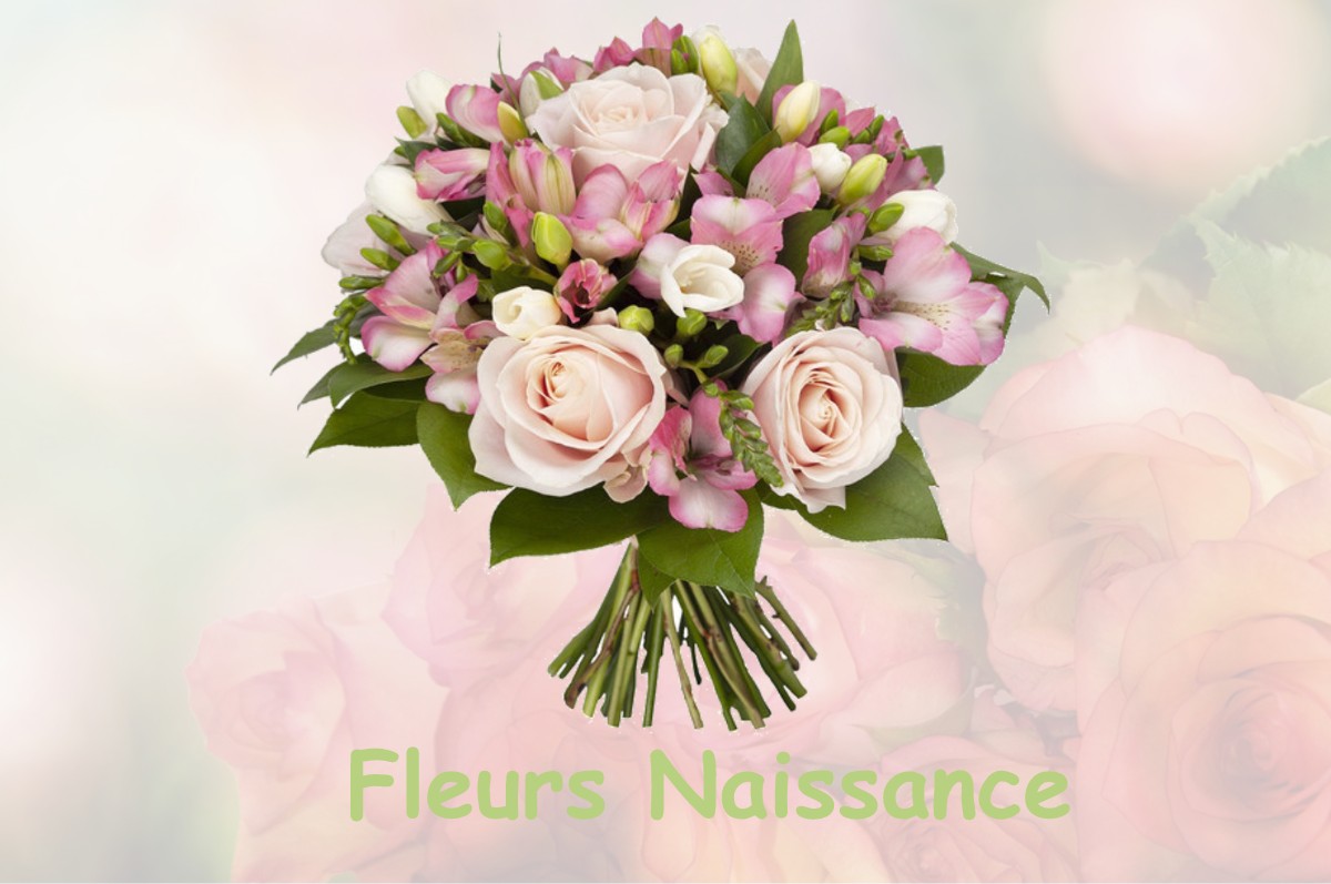 fleurs naissance ABERGEMENT-LE-GRAND