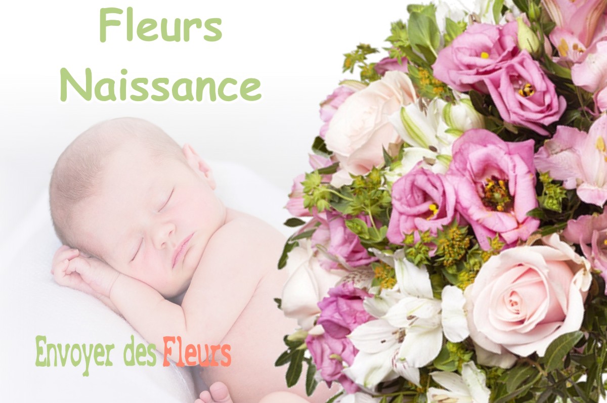 lIVRAISON FLEURS NAISSANCE à ABERGEMENT-LE-GRAND